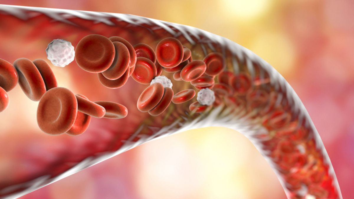 Blood cells